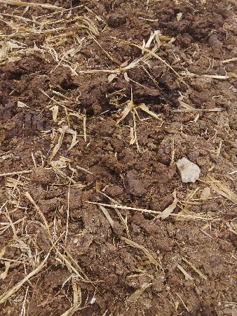 ખાતર વેચવાનો છે નંબર 8200543044