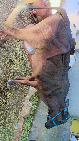 थंबनेल 2