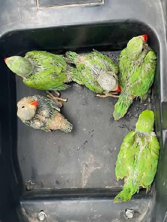 વેચવાના છે