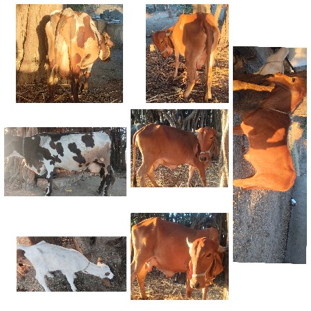 थंबनेल 3