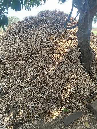 lasan na lodar vesvani se