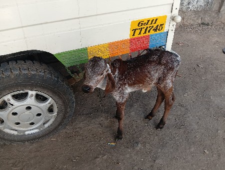 थंबनेल 3