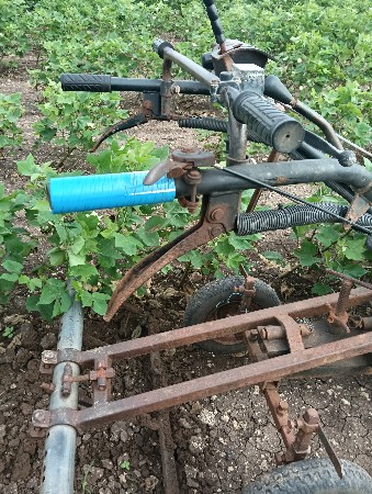 થંબનેલ 2