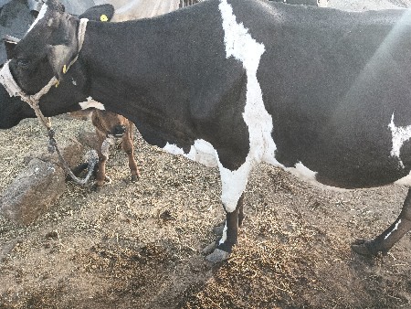 थंबनेल 3