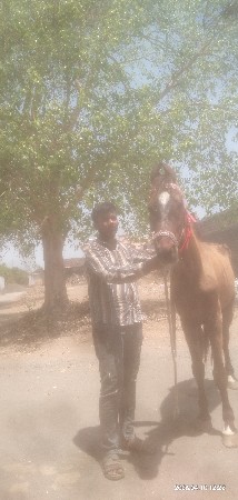 थंबनेल 3