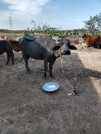 थंबनेल 2