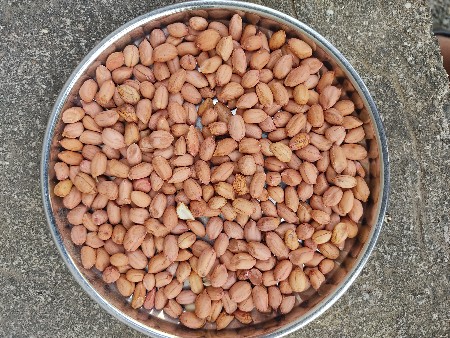 બી ટી ૩૨ માંડવી