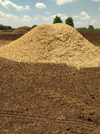 ચણા નું ખરીયુ ૩૦ વિધાની