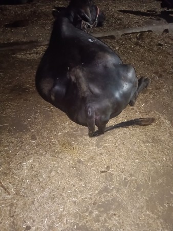 थंबनेल 3