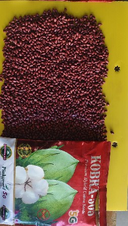 કોબ્રા 505 કપાસ નુ બિયારણ