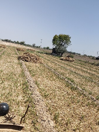 sanedo vesvanose ojar hoto