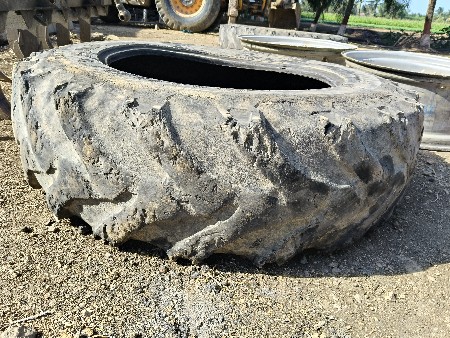 થંબનેલ 2