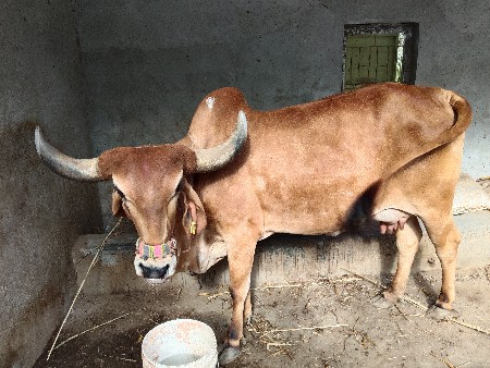 थंबनेल 3