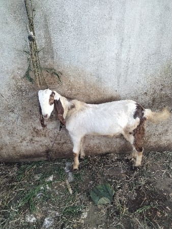 थंबनेल 2