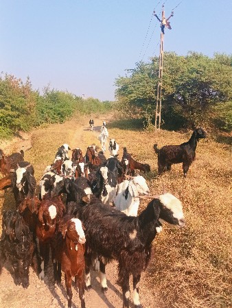 થંબનેલ 2