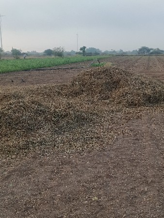 મગ નો ભૂકો વેચવાનો છે