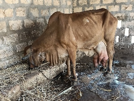 થંબનેલ 3