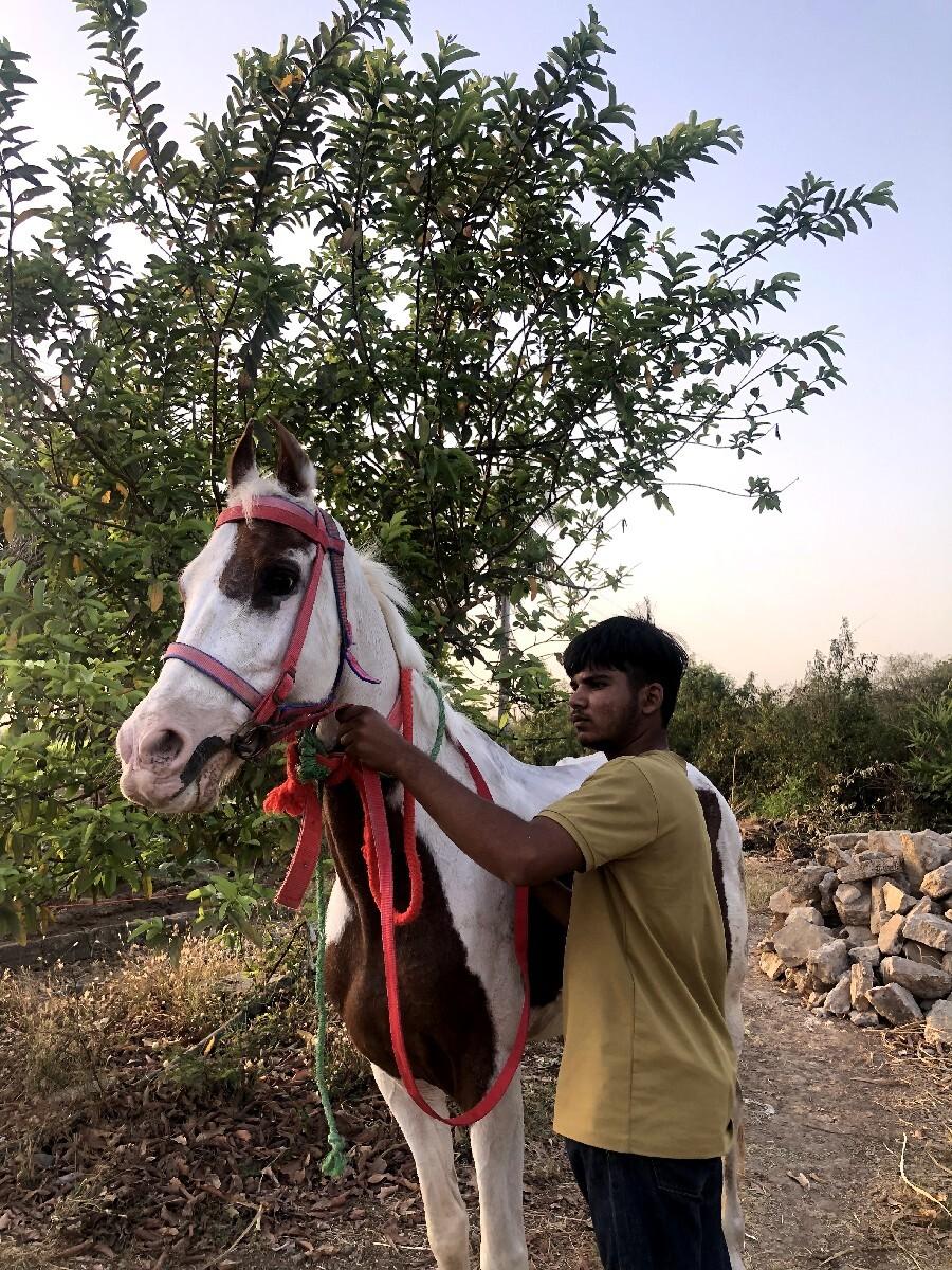 devman complete bal bhamri ni chokh