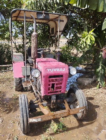 કાગળિયા નથી