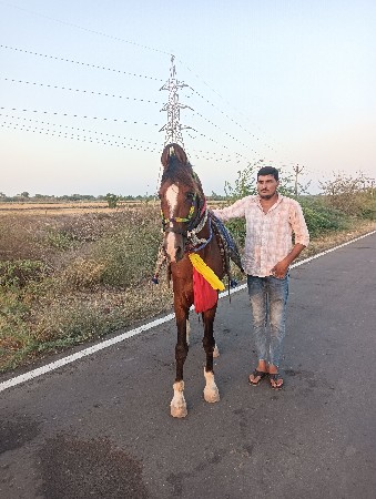 थंबनेल 2