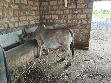 थंबनेल 2