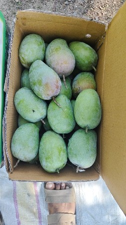 थंबनेल 2