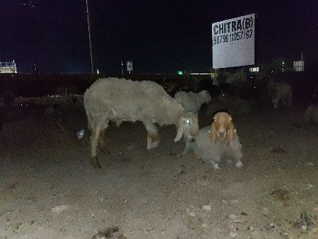 થંબનેલ 3