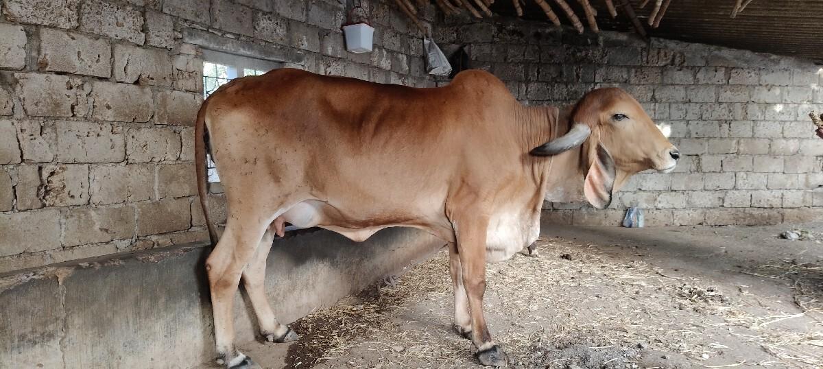 थंबनेल 2