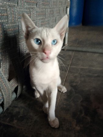 थंबनेल 3