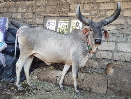 थंबनेल 3