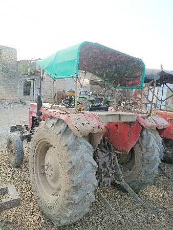 થંબનેલ 3