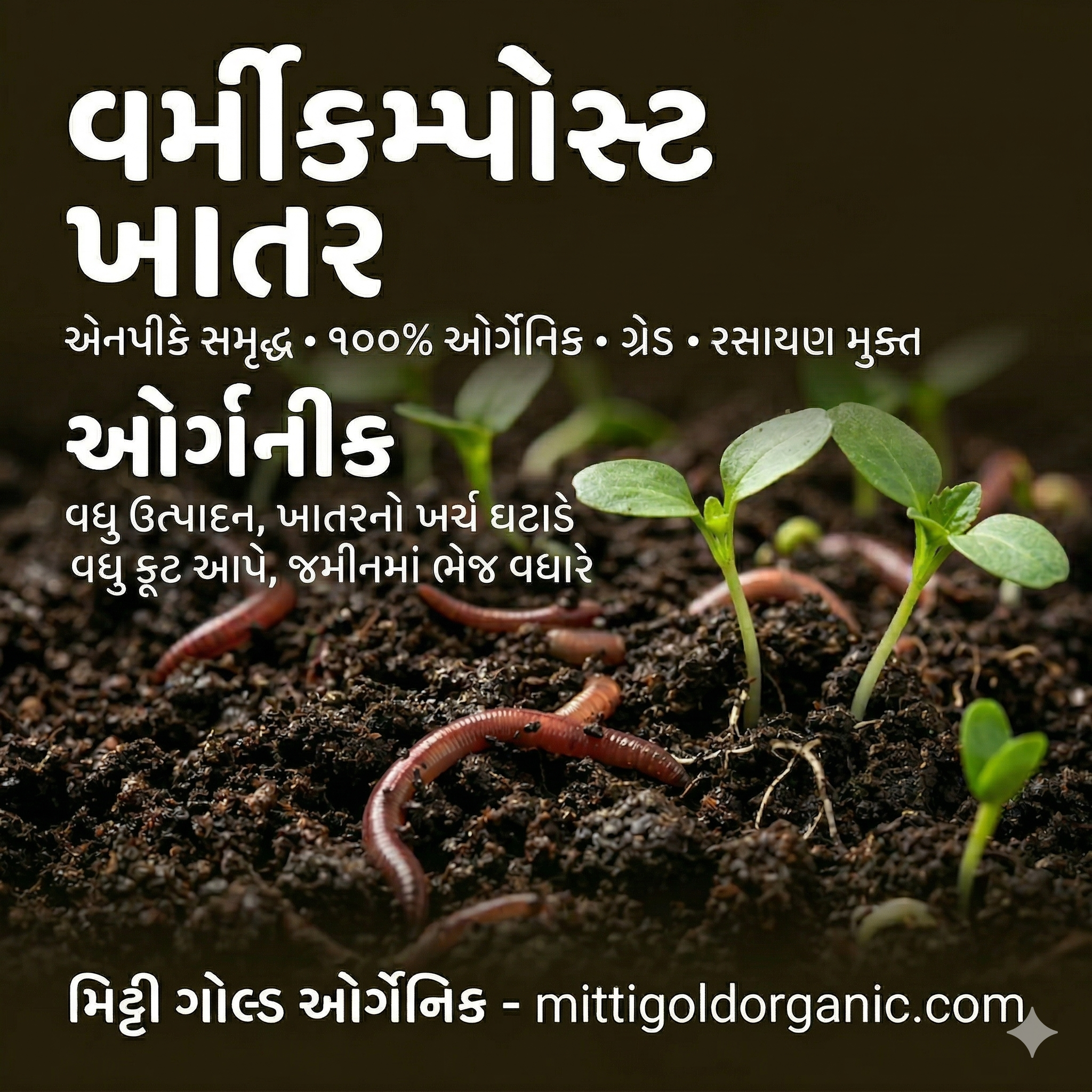 રાસાયણિક ખાતરો જેવા કે યુરિયા (Uria/Urea) અને ડી.એ.પી. (DAP) ના શ્રેષ્ઠ કુદરતી વિકલ્પ તરીકે વર્મીકમ્પોસ્ટ (અળસિયાનું ખાતર)