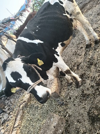 थंबनेल 2