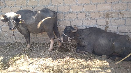 थंबनेल 2