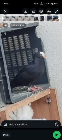 સાટા કરવાનાછે