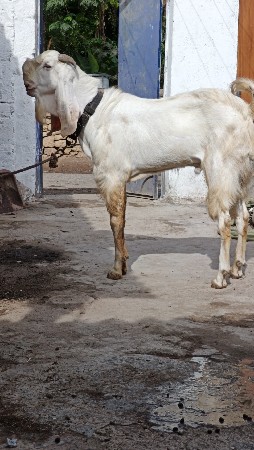 थंबनेल 3