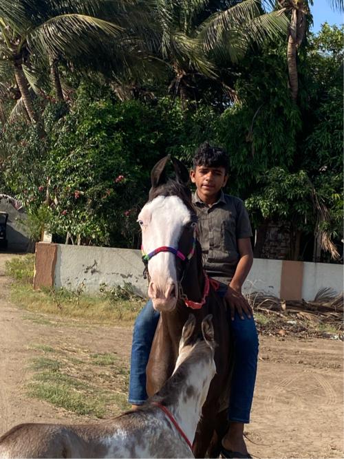 આ ઘોડી વેસવાની સે અને સાટા પન કરવાના સે