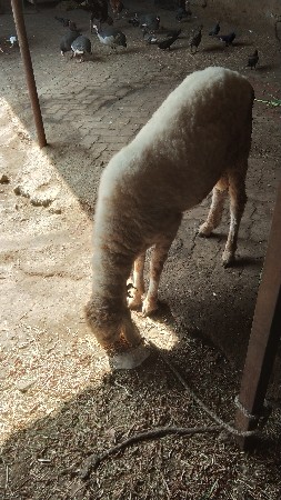 थंबनेल 2