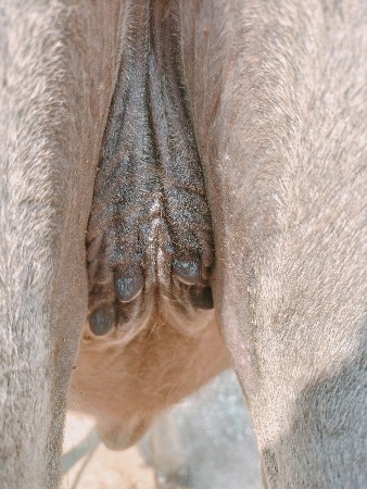 11 મહિના ની છેઃ