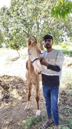 थंबनेल 2