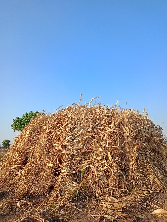 સારના પુરા.