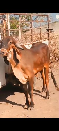 थंबनेल 2