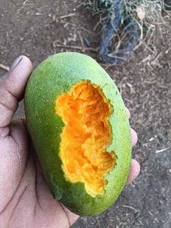 કેરી લેવા માટે કોલ કરો