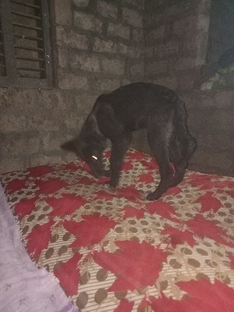 थंबनेल 3