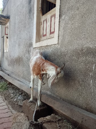 થંબનેલ 2