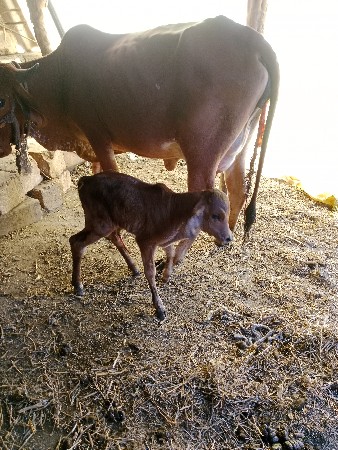 રૂબરૂ મુલાકા કરીને લેવાની ગમેતો
