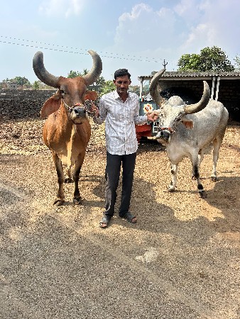 વેચવાના છે