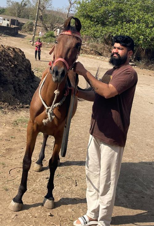 ધોડી વેસવાની છે પાવર વારી છે