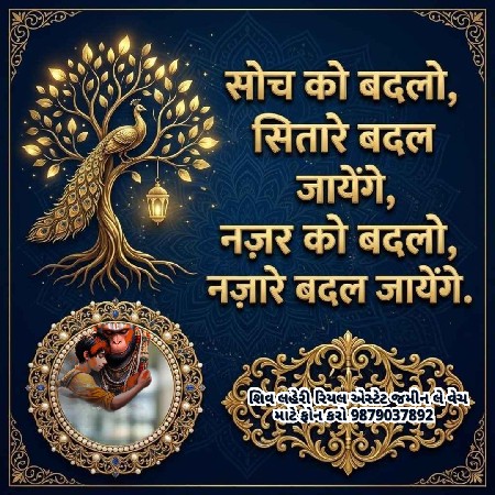 થંબનેલ 5