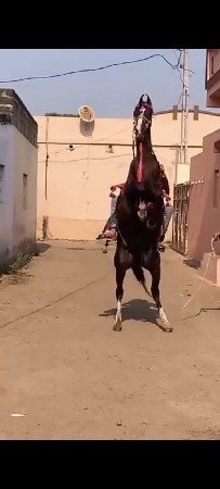 थंबनेल 2